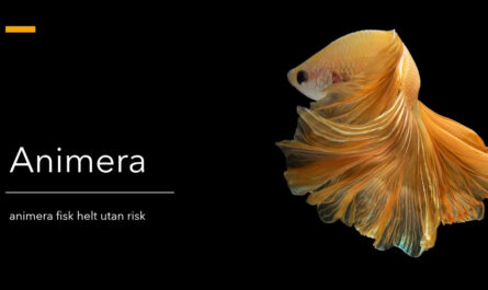 Bild som visar en guldfisk med texten Animera fisk helt utan risk