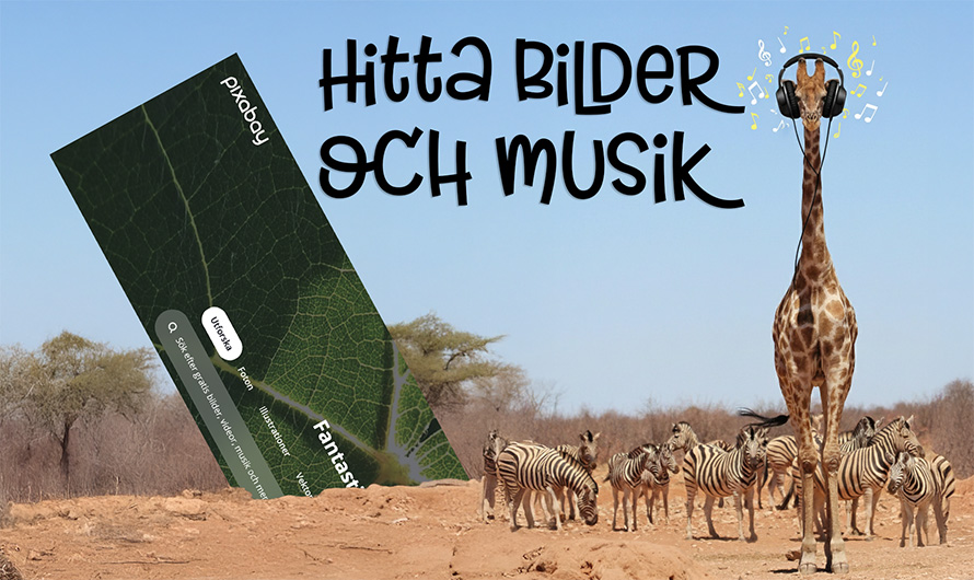 Hitta bilder och musik på Pixabay